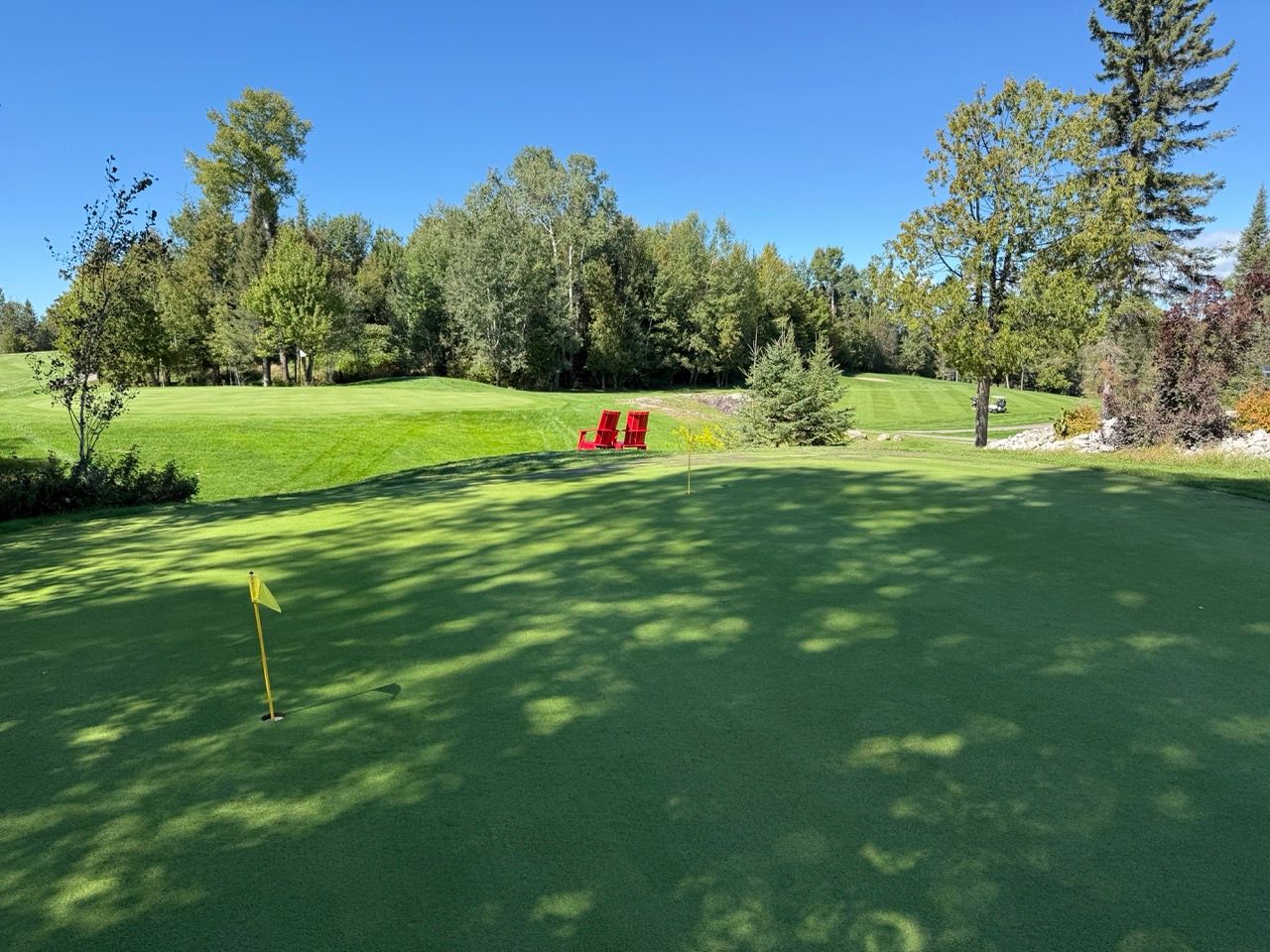 Sunlit putting green at Osprey Links Golf Course with red Muskoka chairs and tree-lined fairways behind